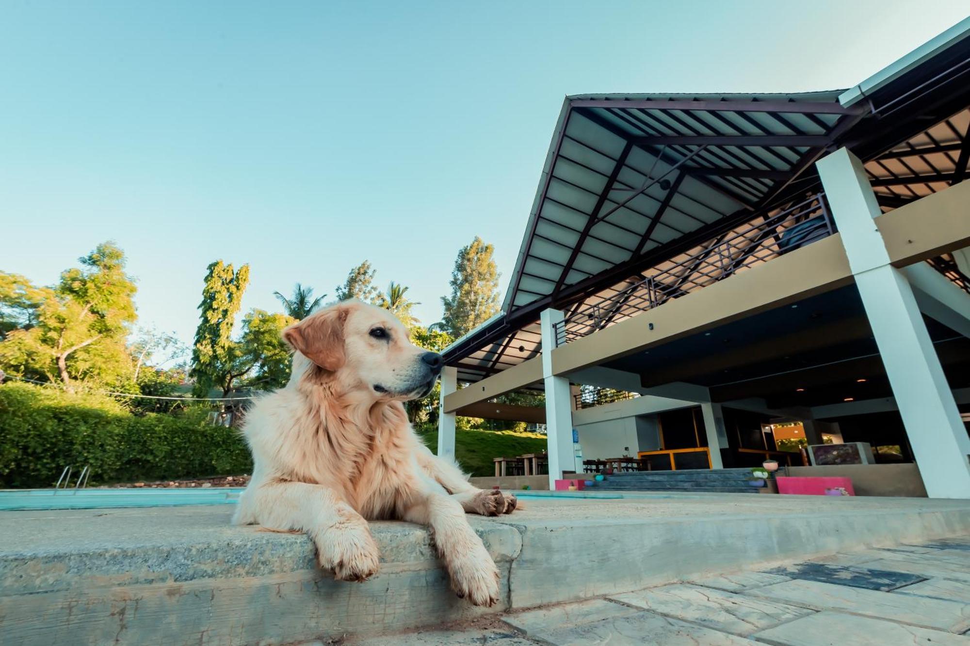 Commune18 Spa Resorts Chikmagalur Bagian luar foto